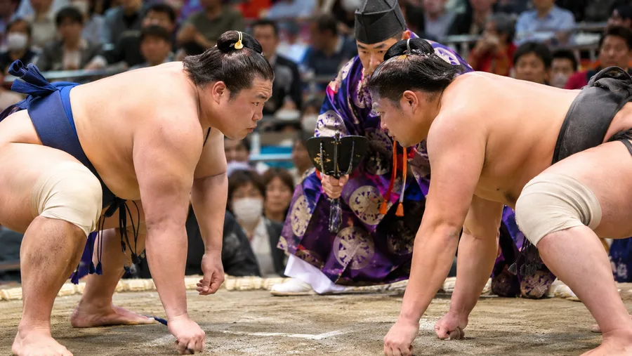 Kyoto Sumo Wrestling Shows, Dinners, and Experiences